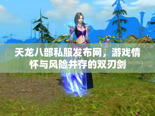 天龙八部私服发布网，游戏情怀与风险并存的双刃剑
