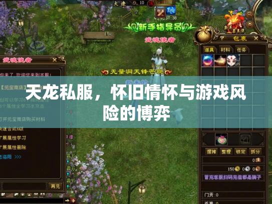 天龙私服，怀旧情怀与游戏风险的博弈