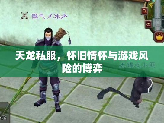 天龙私服，怀旧情怀与游戏风险的博弈