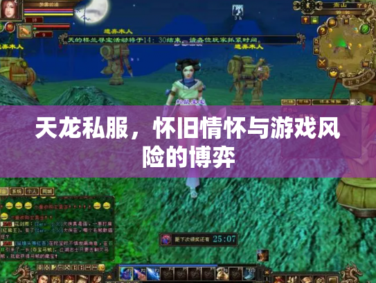 天龙私服，怀旧情怀与游戏风险的博弈