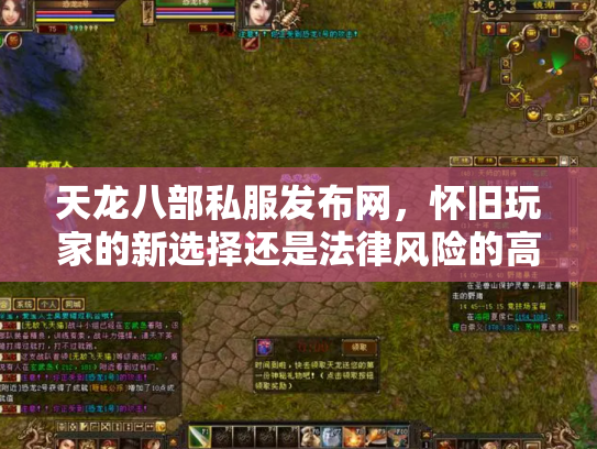 天龙八部私服发布网，怀旧玩家的新选择还是法律风险的高压线？