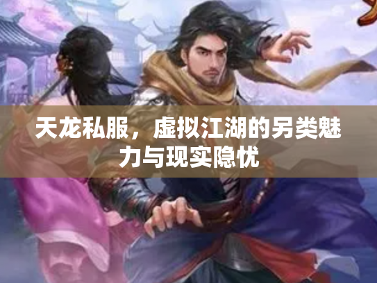 天龙私服，虚拟江湖的另类魅力与现实隐忧