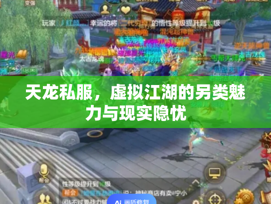 天龙私服，虚拟江湖的另类魅力与现实隐忧
