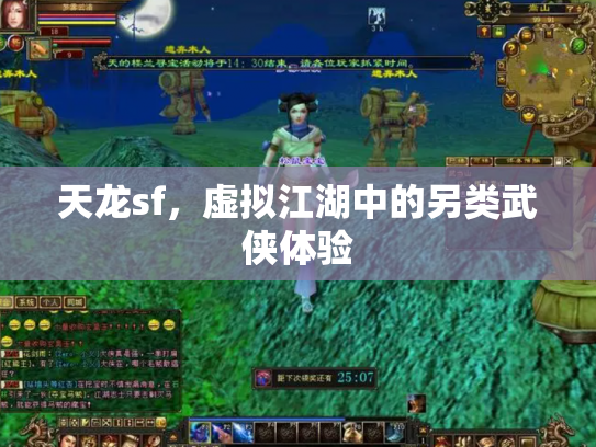 天龙sf，虚拟江湖中的另类武侠体验