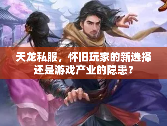 天龙私服，怀旧玩家的新选择还是游戏产业的隐患？
