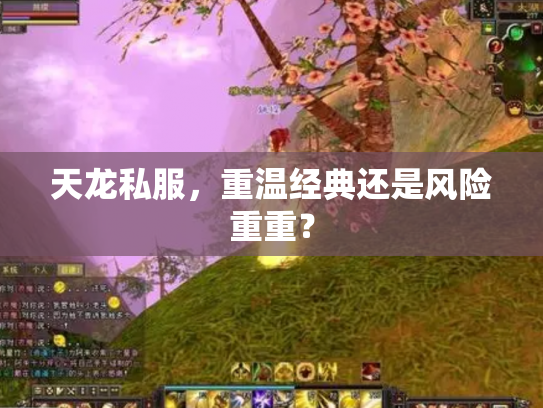 天龙私服，重温经典还是风险重重？