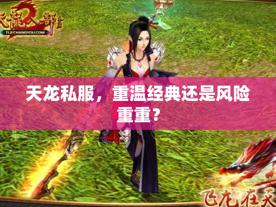 天龙私服，重温经典还是风险重重？