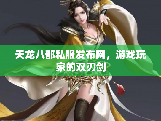 天龙八部私服发布网，游戏玩家的双刃剑