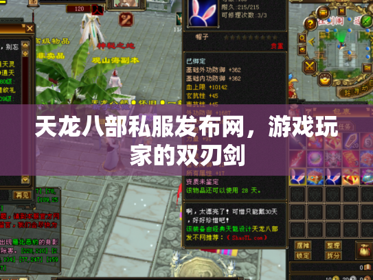 天龙八部私服发布网，游戏玩家的双刃剑