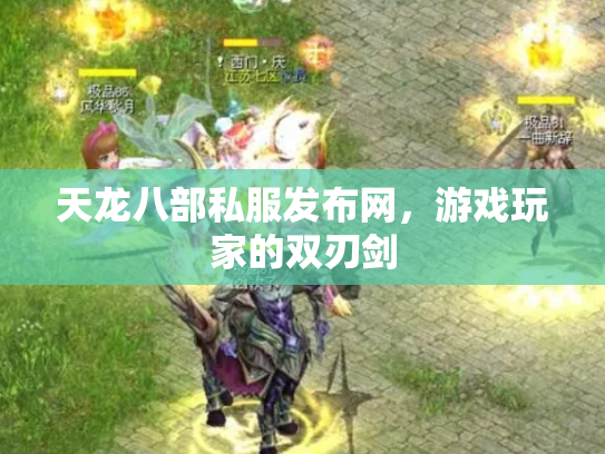 天龙八部私服发布网，游戏玩家的双刃剑