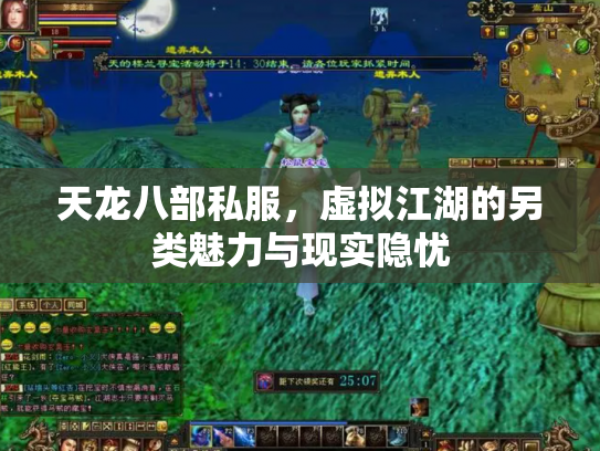 天龙八部私服，虚拟江湖的另类魅力与现实隐忧
