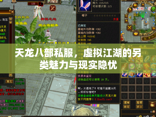 天龙八部私服，虚拟江湖的另类魅力与现实隐忧