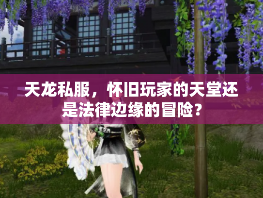 天龙私服，怀旧玩家的天堂还是法律边缘的冒险？