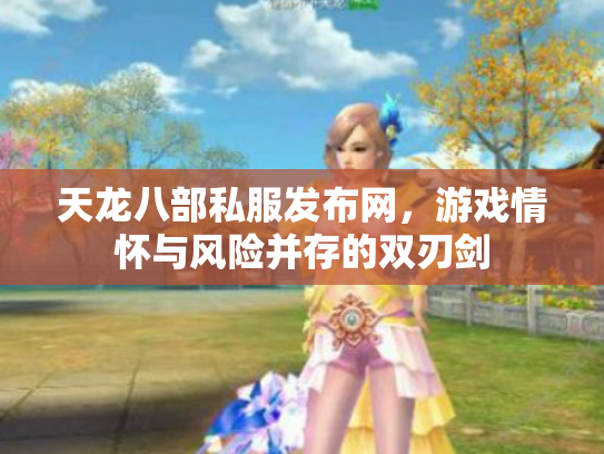 天龙八部私服发布网，游戏情怀与风险并存的双刃剑