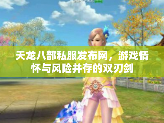 天龙八部私服发布网，游戏情怀与风险并存的双刃剑