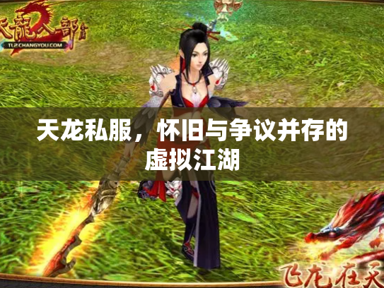 天龙私服，怀旧与争议并存的虚拟江湖
