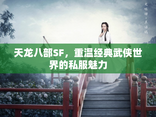 天龙八部SF，重温经典武侠世界的私服魅力