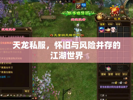 天龙私服，怀旧与风险并存的江湖世界