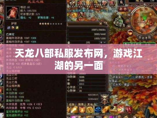天龙八部私服发布网，游戏江湖的另一面