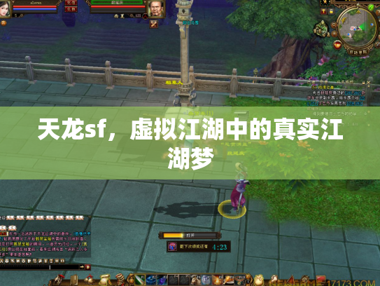 天龙sf，虚拟江湖中的真实江湖梦