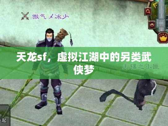 天龙sf，虚拟江湖中的另类武侠梦