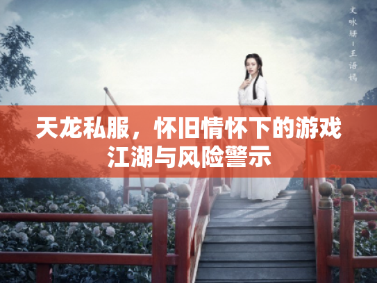 天龙私服，怀旧情怀下的游戏江湖与风险警示