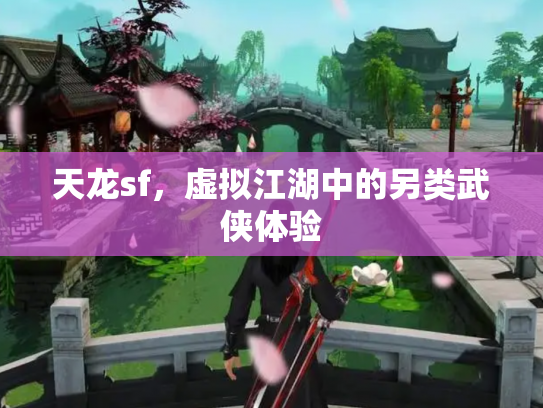天龙sf，虚拟江湖中的另类武侠体验