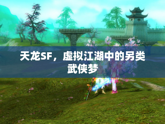 天龙SF，虚拟江湖中的另类武侠梦