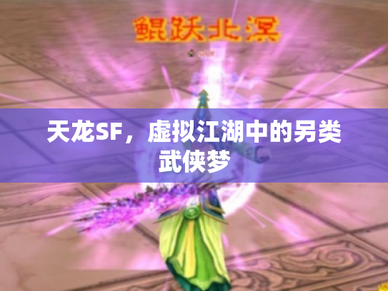 天龙SF，虚拟江湖中的另类武侠梦