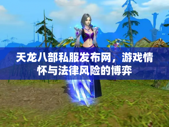天龙八部私服发布网，游戏情怀与法律风险的博弈