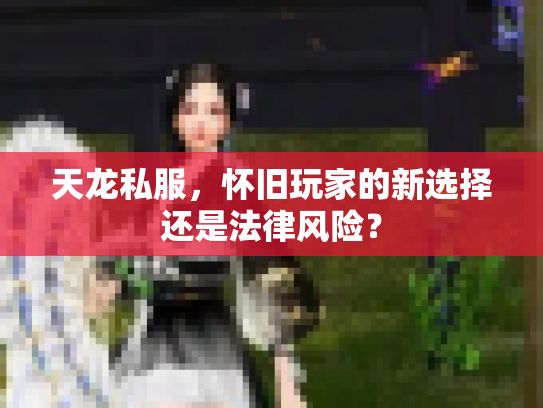 天龙私服，怀旧玩家的新选择还是法律风险？