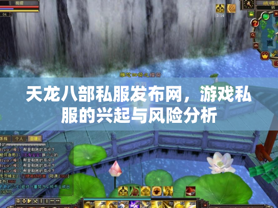 天龙八部私服发布网，游戏私服的兴起与风险分析