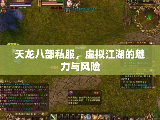 天龙八部私服，虚拟江湖的魅力与风险