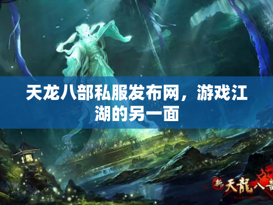 天龙八部私服发布网，游戏江湖的另一面