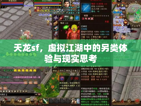天龙sf，虚拟江湖中的另类体验与现实思考