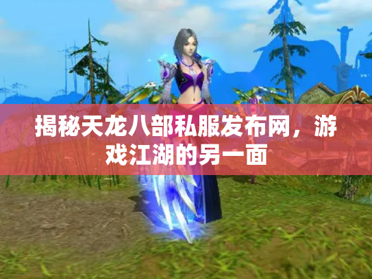 揭秘天龙八部私服发布网，游戏江湖的另一面
