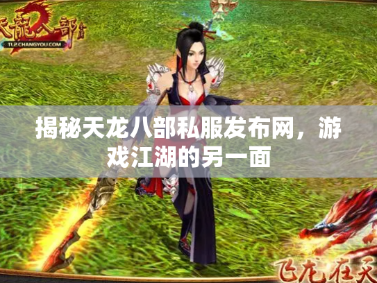 揭秘天龙八部私服发布网，游戏江湖的另一面