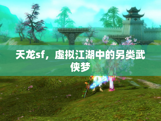 天龙sf，虚拟江湖中的另类武侠梦