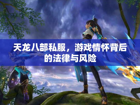 天龙八部私服，游戏情怀背后的法律与风险