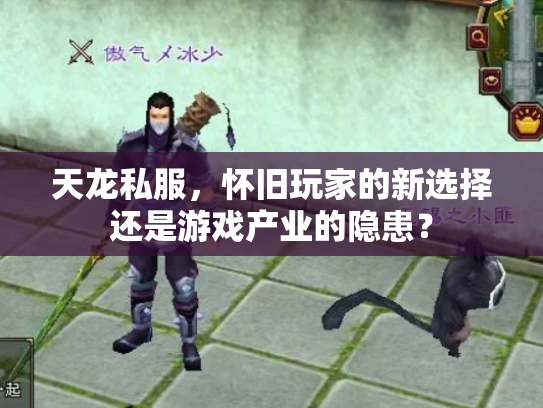 天龙私服，怀旧玩家的新选择还是游戏产业的隐患？