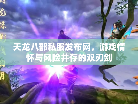 天龙八部私服发布网，游戏情怀与风险并存的双刃剑