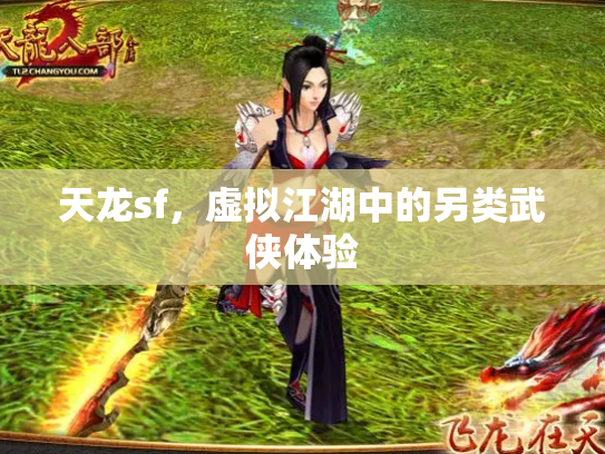 天龙sf，虚拟江湖中的另类武侠体验