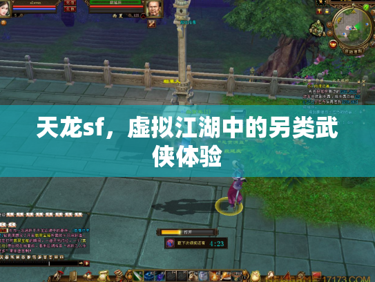 天龙sf，虚拟江湖中的另类武侠体验