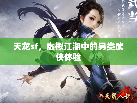 天龙sf，虚拟江湖中的另类武侠体验