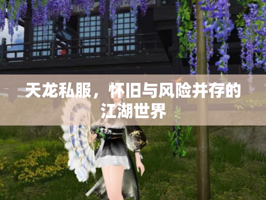 天龙私服，怀旧与风险并存的江湖世界