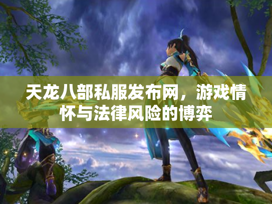 天龙八部私服发布网，游戏情怀与法律风险的博弈