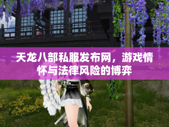 天龙八部私服发布网，游戏情怀与法律风险的博弈
