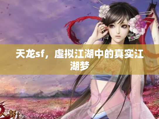 天龙sf，虚拟江湖中的真实江湖梦