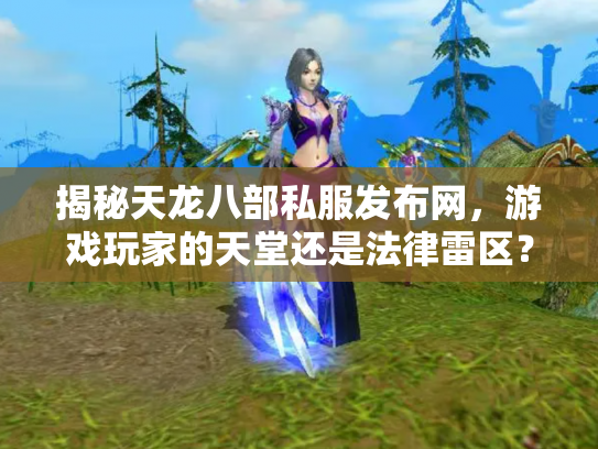 揭秘天龙八部私服发布网，游戏玩家的天堂还是法律雷区？