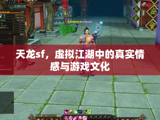 天龙sf，虚拟江湖中的真实情感与游戏文化